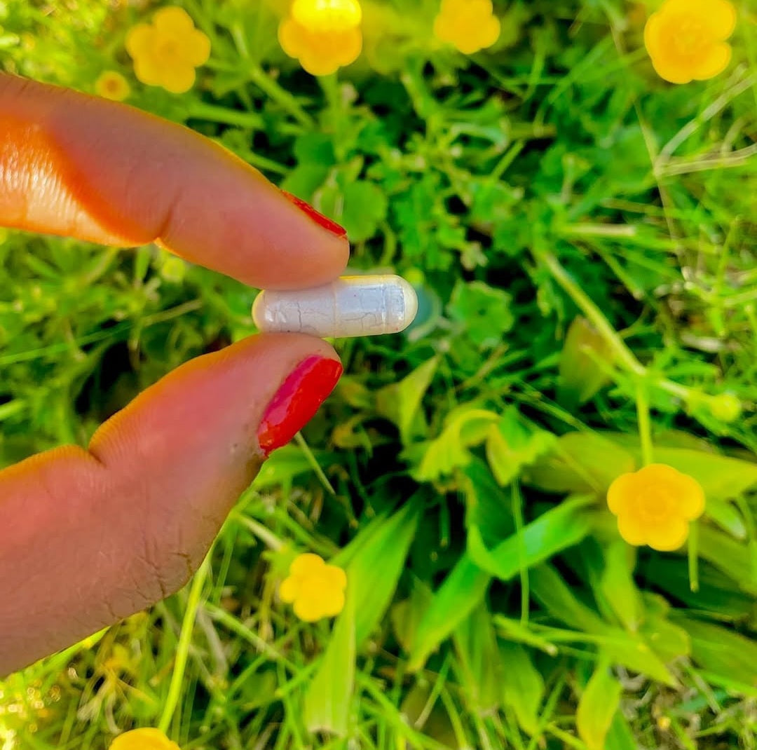 Sea Moss Capsules