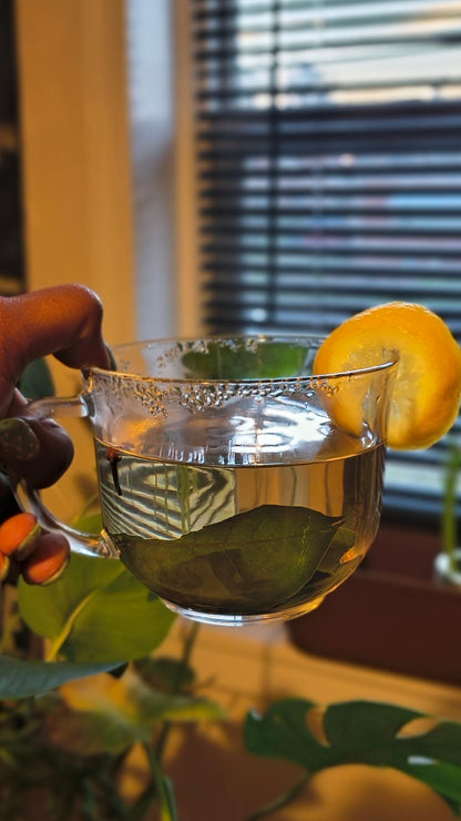 Sour Sop Tea Leaves