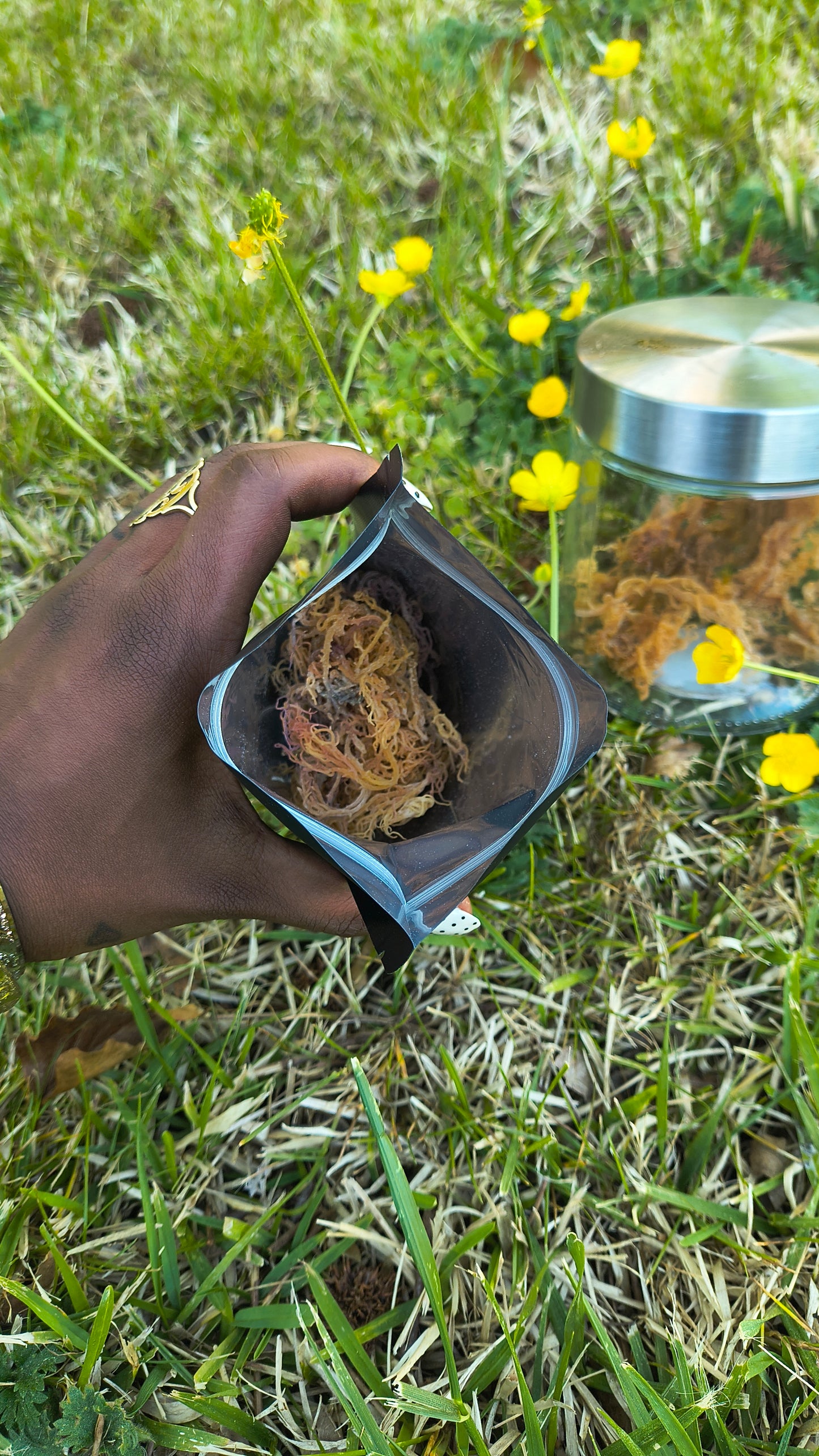 Golden Sea Moss (Dried)